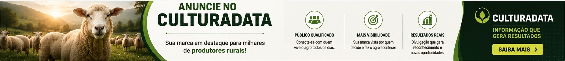 CulturaData - Anuncie aqui